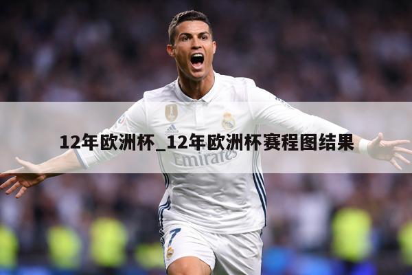 12年欧洲杯_12年欧洲杯赛程图结果