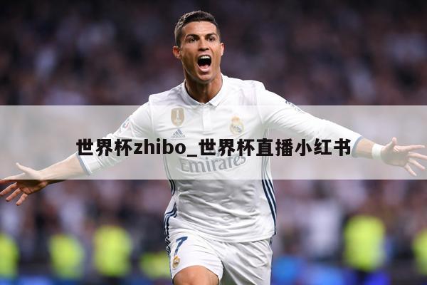 世界杯zhibo_世界杯直播小红书